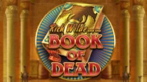 Book of Dead An In-Depth Review for UK Players