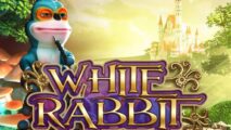 WHITE RABBIT