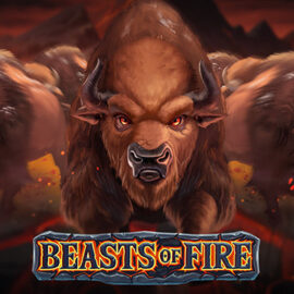 BEASTS OF FIRE