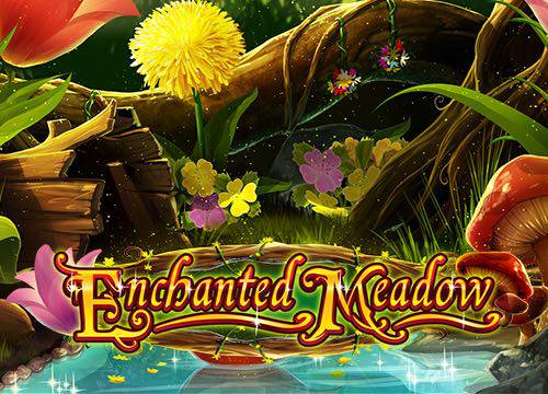 ENCHANTED MEADOW