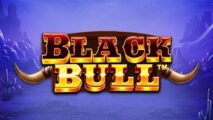 BLACK BULL