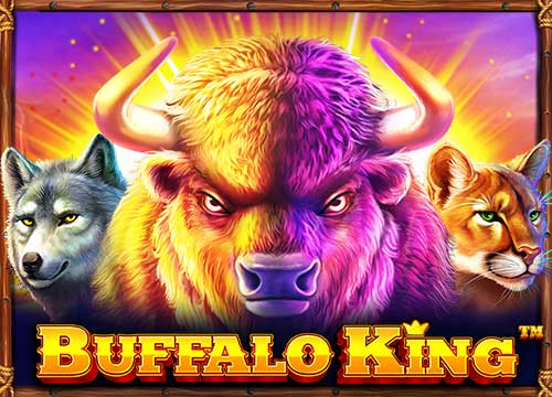 BUFFALO KING