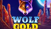 Wolf Gold Demo: